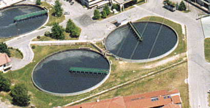 acqua